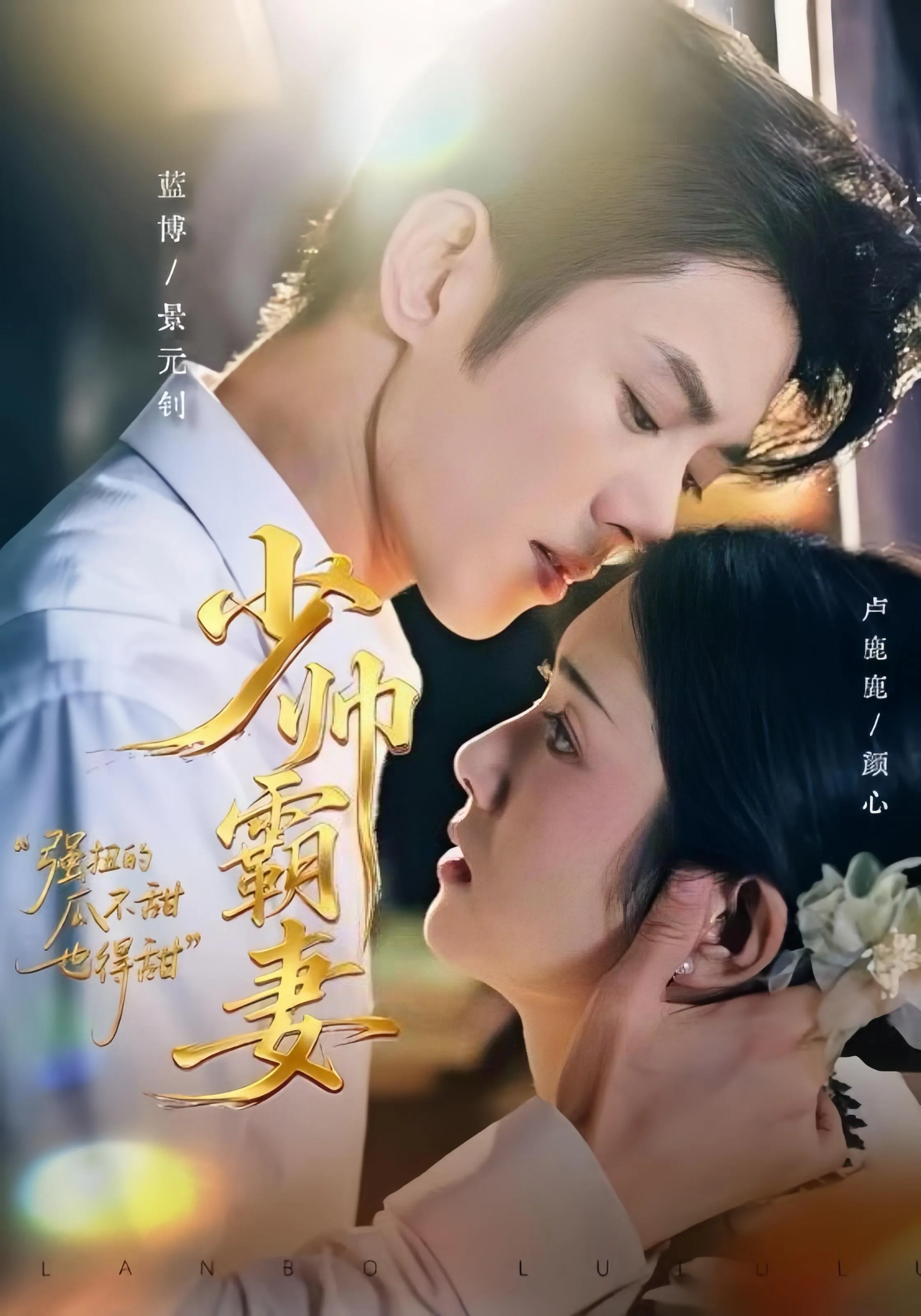 少帅霸妻,强扭的瓜不甜也得甜