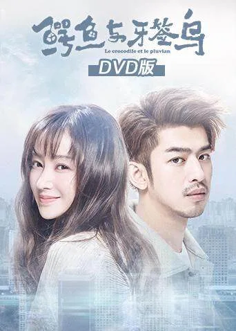 鳄鱼与牙签鸟DVD版
