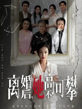 离婚后她高不可攀