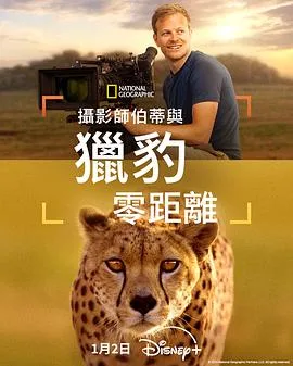 摄影师贝尔蒂与猎豹零距离