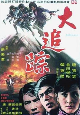 大追踪