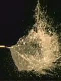 看不见的世界:超越肉眼