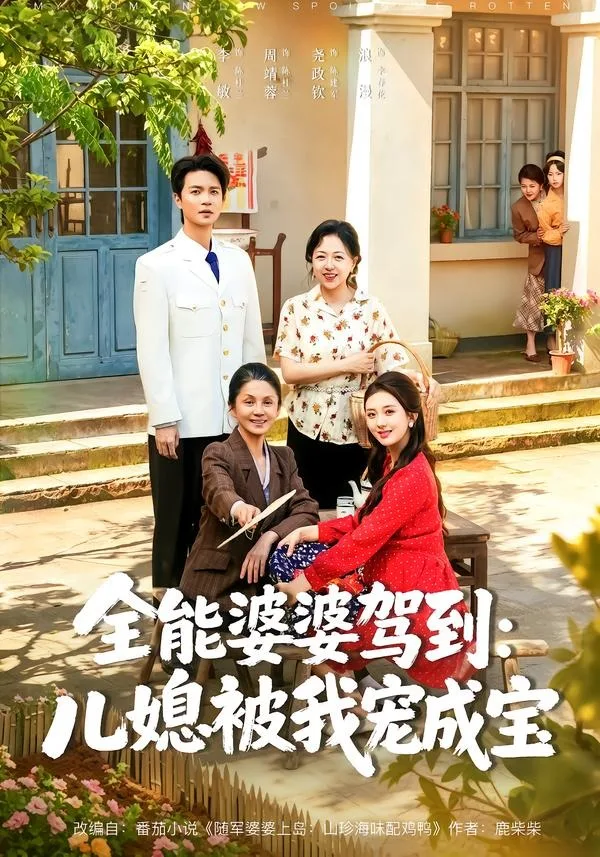 全能婆婆驾到:儿媳被我宠成宝