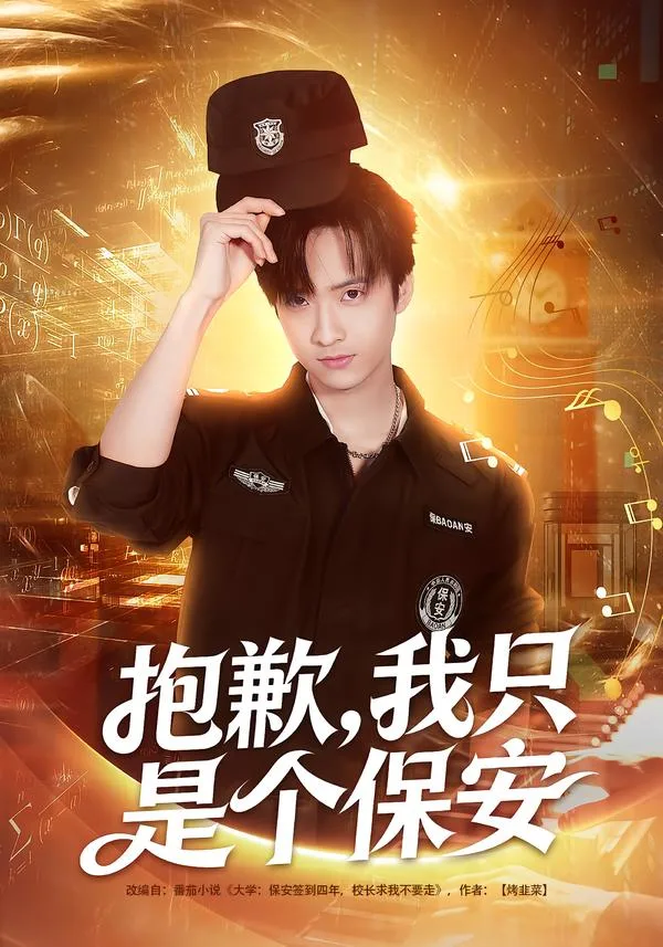 抱歉，我只是个保安