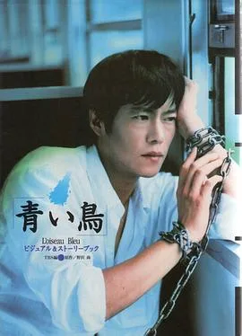 青鸟1997